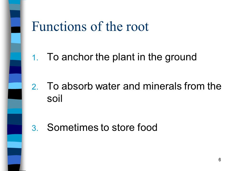 The functions of water and minerals